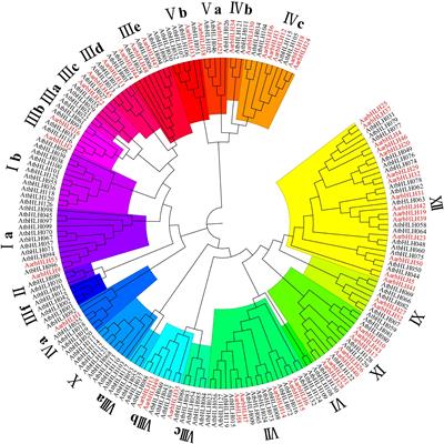 Integrated Analysis of Basic Helix Loop Helix Transcription Factor Family and Targeted Terpenoids Reveals Candidate AarbHLH Genes Involved in Terpenoid Biosynthesis in Artemisia argyi